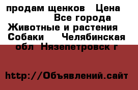 продам щенков › Цена ­ 15 000 - Все города Животные и растения » Собаки   . Челябинская обл.,Нязепетровск г.